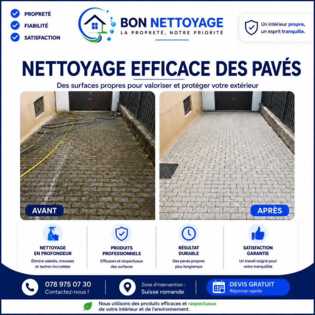 nettoyage de pavés